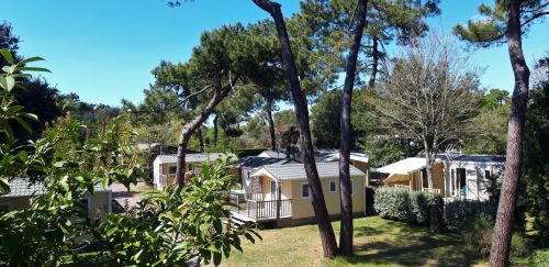 The campsite, services and on-site activities camping 4 étoiles Royan Charente maritime