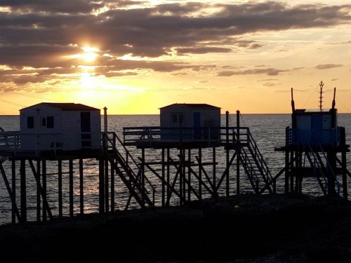 le Puits de l'Auture, entre plages et forêts en Charente Maritime Galerie photo du camping & des alentours