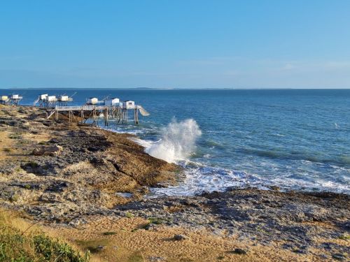 Le Puits de l'Auture - Between beaches and forests in Charente Maritime France Photo gallery of the campsite & surroundings