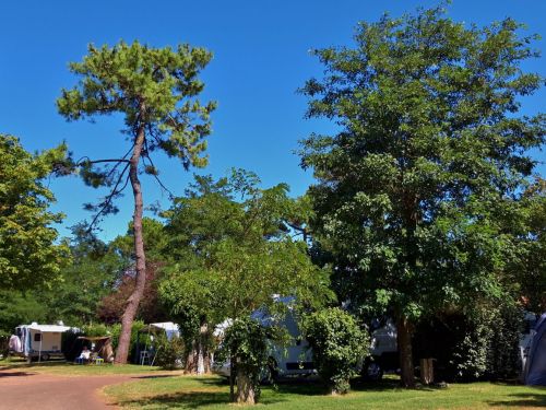 le Puits de l'Auture, between beaches and forests in Charente Maritime France Photo gallery of the campsite & surroundings