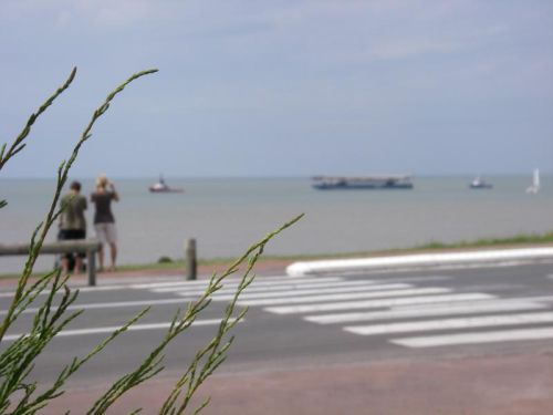 le Puits de l'Auture, tussen stranden en bossen in de Charente Maritime Fotogalerij van de camping en omgeving