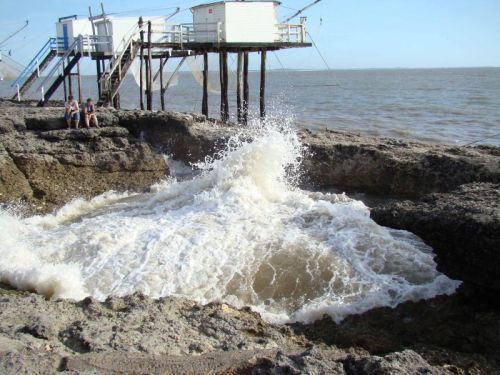 le Puits de l'Auture, tussen stranden en bossen in de Charente Maritime Fotogalerij van de camping en omgeving